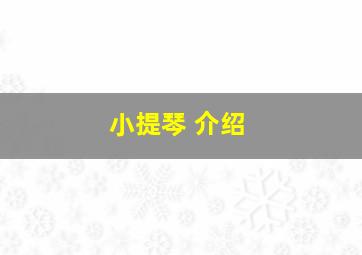 小提琴 介绍